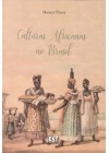 Culturas africanas no Brasil 